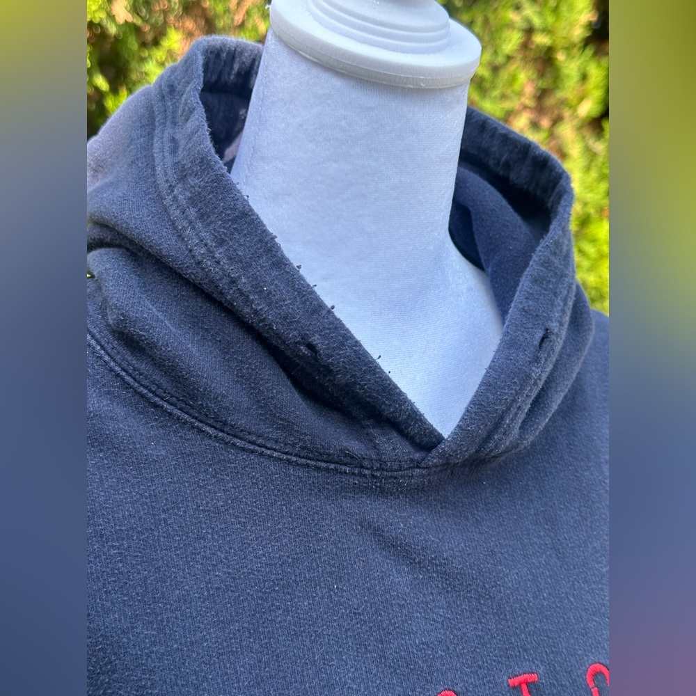 Vintage MLB Wright & Ditson Boston Red Sox 1901 Stitched Blue Hoodie size M - Picture 3 of 6